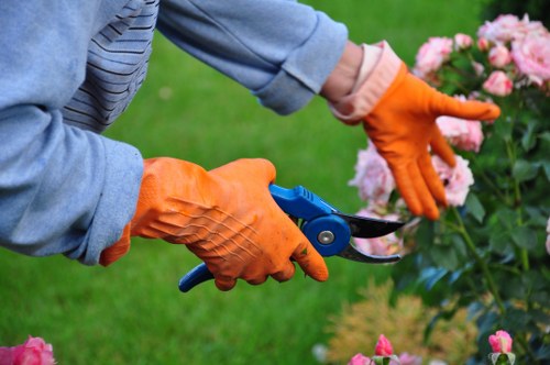 Trainer delivering safety briefing to hedge trimming team