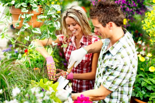 Healthy green lawn maintained by experts in Barnes