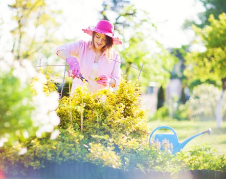 Professional landscaper working on a Barnes property