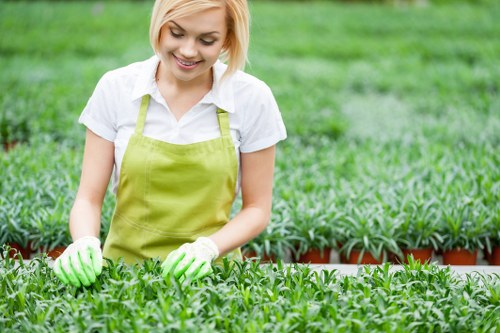 Selection of native plants for landscape gardening in Barnes